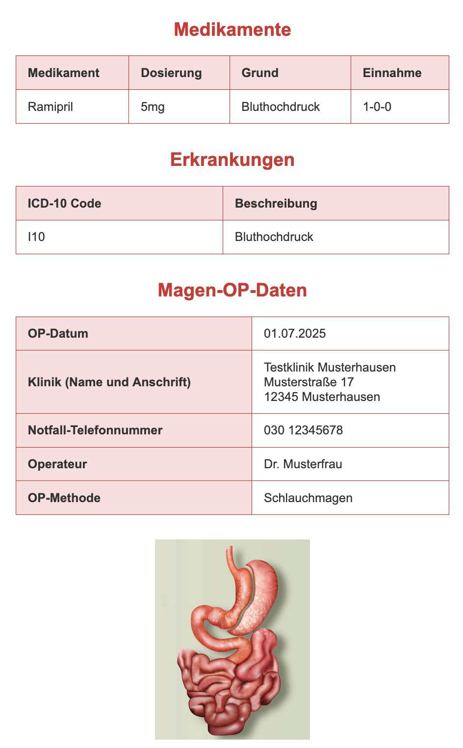 Website Bereich Bild